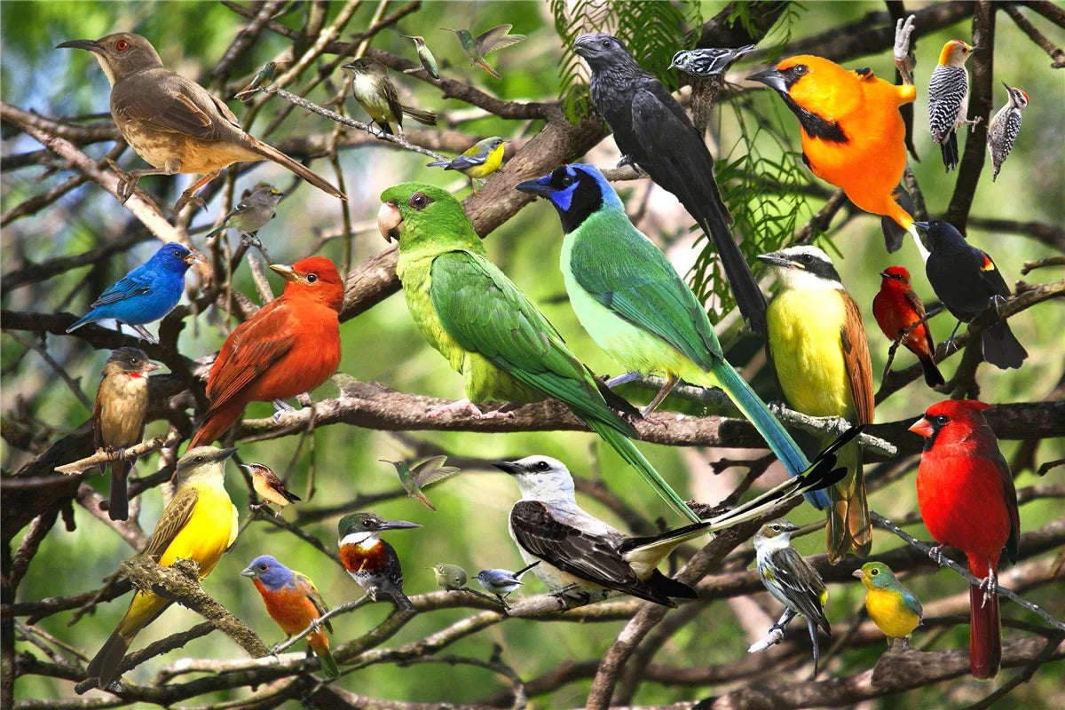 500 stukjes puzzel met verschillende landschapspatronen voor kinderen 41